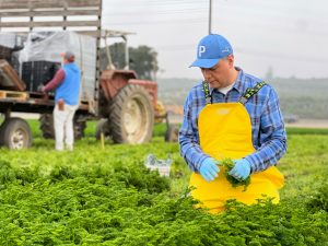 senator-padilla-california-farmfields